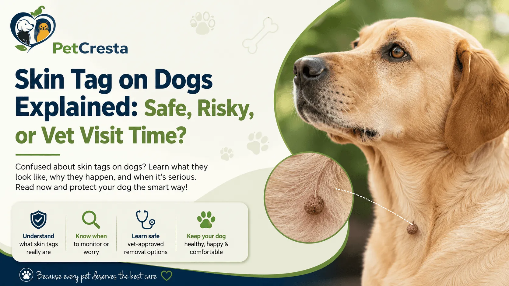 skin tag on dogs