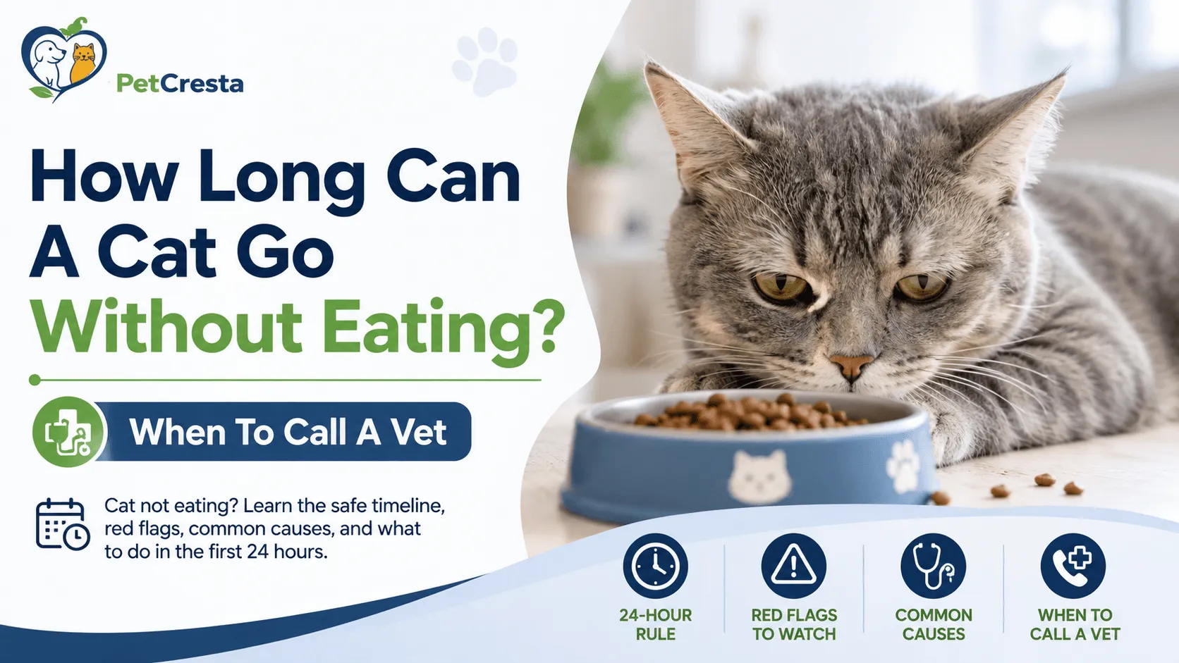 How long can a cat go without eating?