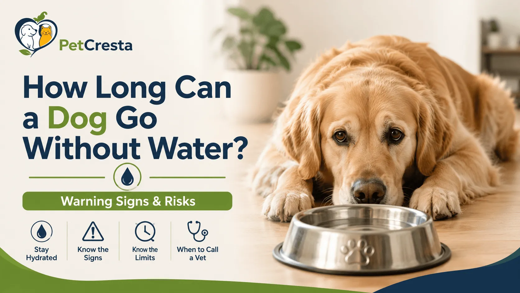 How Long Can A Dog Go Without Water? Warning Signs & Risks