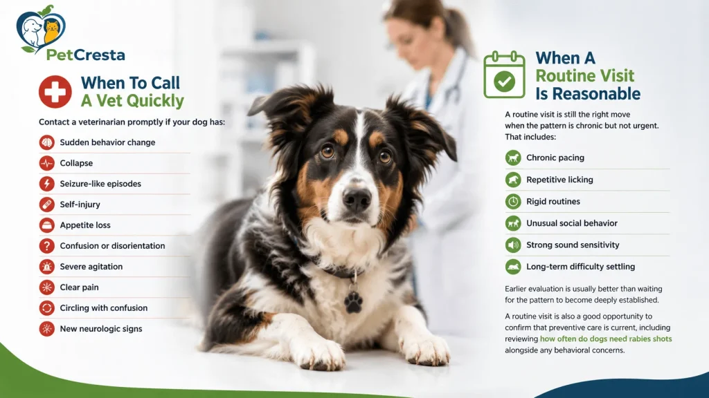 When To Call A Vet Quickly