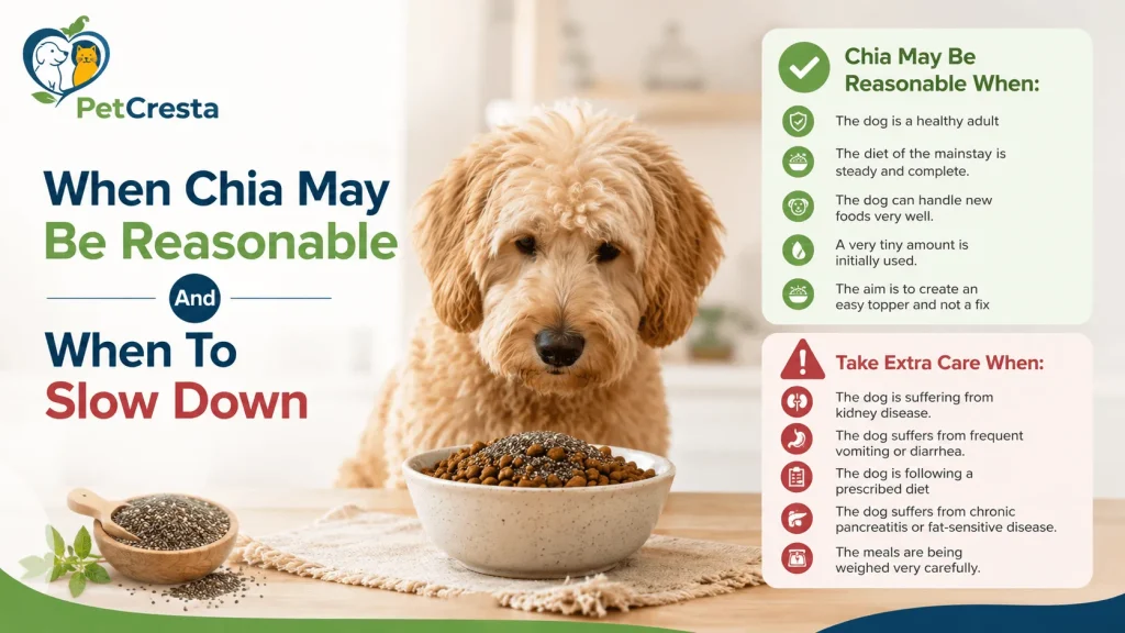 When Chia May Be Reasonable And When To Slow Down