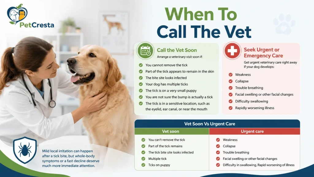 When To Call The Vet