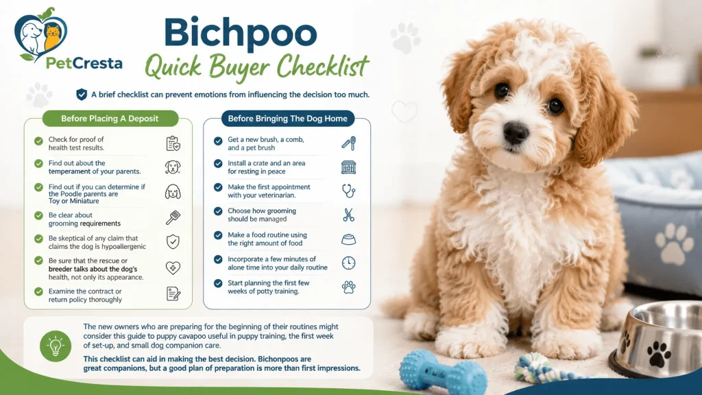 Bichpoo Quick Buyer Checklist