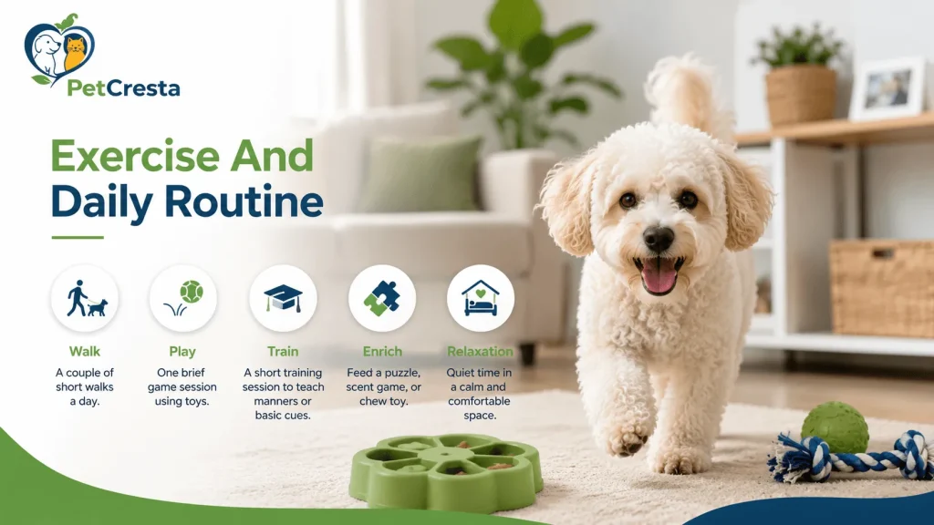 Exercise And Daily Routine